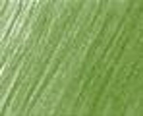 Faber-Castell Polychromos Artists Colour Pencils Chrome Oxide Green