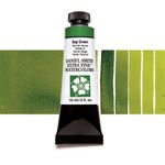Daniel Smith Extra Fine Watercolours 15ml Tube Sap Green preview
