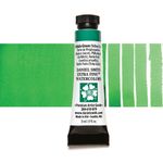 Daniel Smith Extra Fine Watercolours 5ml Tube Phthalo Green (YS) preview
