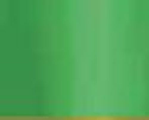 Georgian Oil Colours 38ml Permanent Green Light