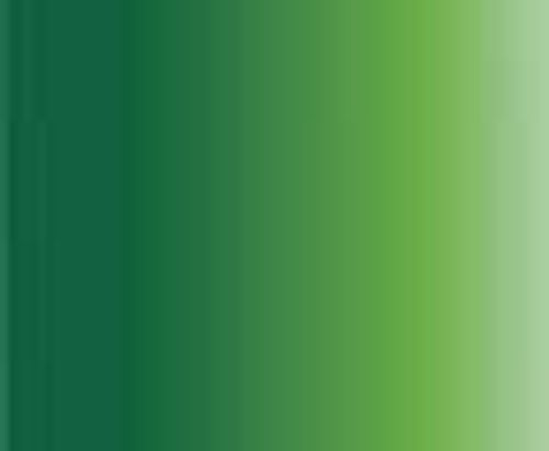 Daler Rowney System 3 Fluid Acrylic Paints 29ml Sap Green