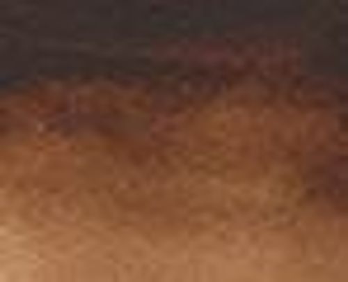 Rembrandt Watercolour Paint 20ml Tube Burnt Umber