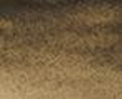 Rembrandt Watercolour Paint 10ml Tube Greenish Umber