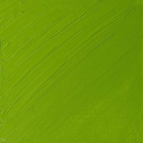 Winsor & Newton Artists' Oil Paint 37ml Tube Cadmium Green Pale