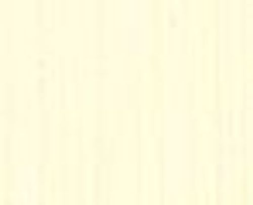 Michael Harding Artists Oil Paint 40ml Lead Tin Yellow Light