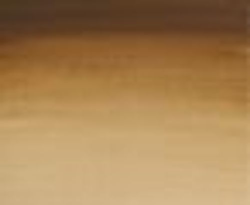 Winsor & Newton Cotman Watercolour Paint 21ml Tube Raw Umber