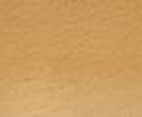 Derwent Watercolour Pencils Raw Sienna