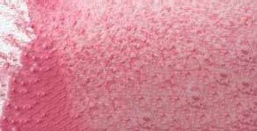 Caran d'Ache Museum Aquarelle Pencils Voilet Pink