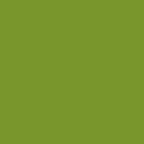 Rosa Gallery Acrylic Paint Yellow Green