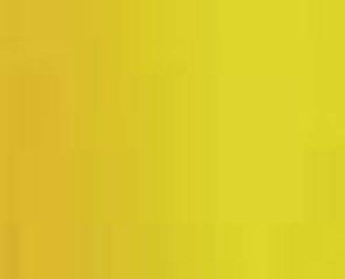 Georgian Oil Colours 38ml Cadmium Yellow Pale (Hue)