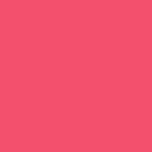 Rosa Gallery Acrylic Paint Rose
