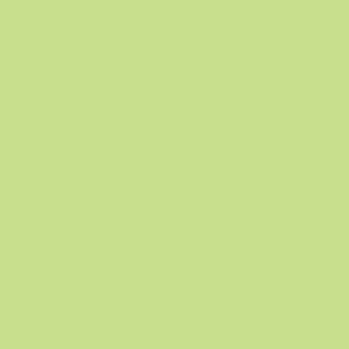 Rosa Gallery Acrylic Paint Pistachio