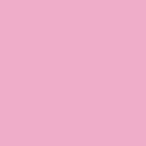 Rosa Gallery Acrylic Paint Rose Light