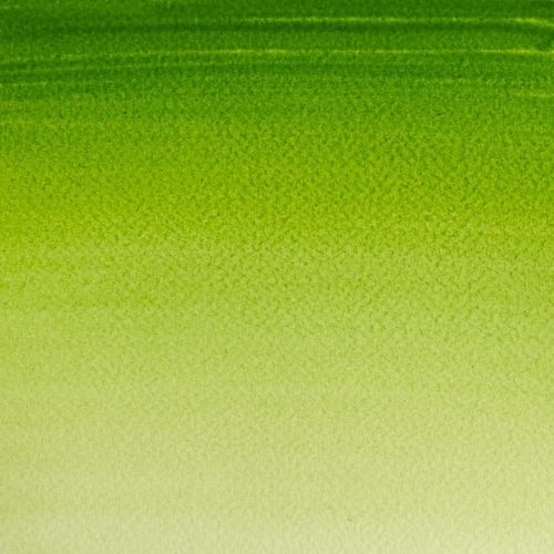 Winsor & Newton Cotman Watercolour Paint 21ml Tube Sap Green