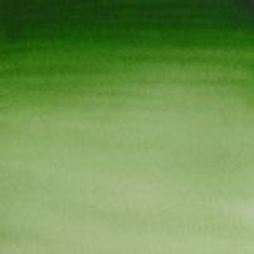 Winsor & Newton Cotman Watercolour Paint 8ml Tube Hooker's Green Light