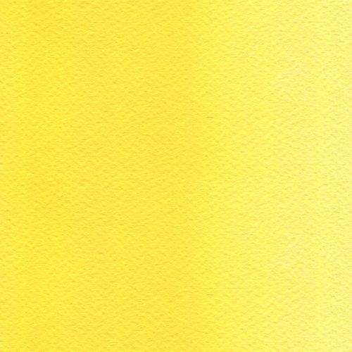 Rosa Gallery Watercolour Paint Whole Pans Cadmium Yellow Medium