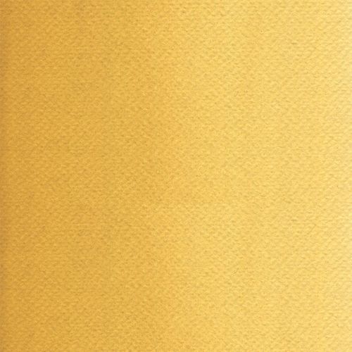 Rosa Gallery Watercolour Paint Whole Pans Yellow Ochre