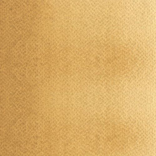 Rosa Gallery Watercolour Paint 10ml Tube Raw Sienna