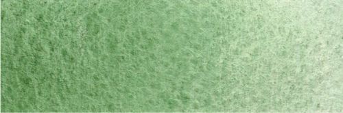 Rosa Gallery Watercolour Paint 10ml Tube Chromium Oxide