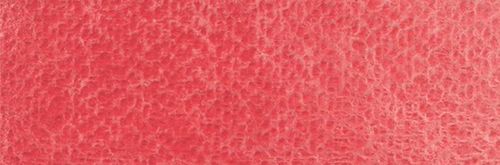 Rosa Gallery Watercolour Paint Whole Pans Cadmium Red Deep