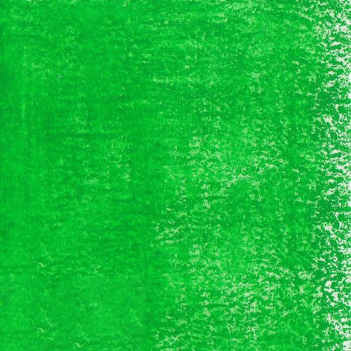 Caran d’Ache Neoart 6901 Wax Oil Pastels Grass Green