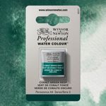 Winsor & Newton Professional Watercolours Half Pan Cobalt Green Deep preview