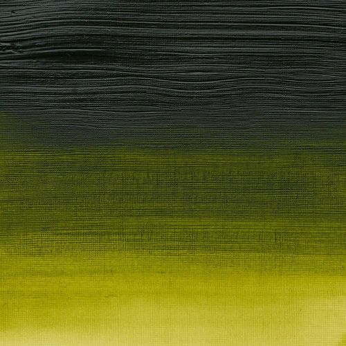 Winsor & Newton Professional Acrylics 60ml Tube Permanent Sap Green