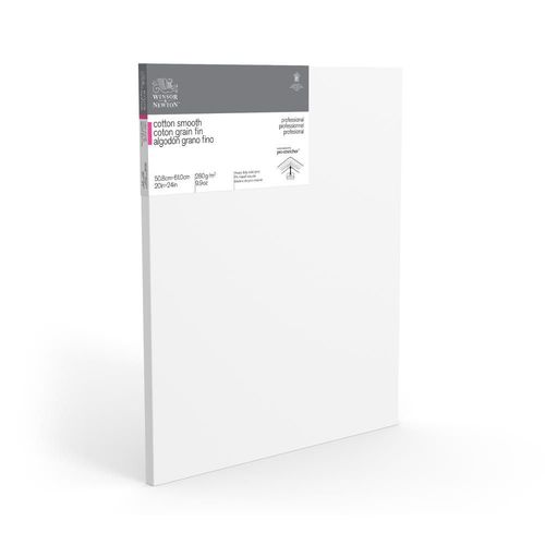 Winsor & Newton Professional Cotton Smooth Standard 20" x 24"