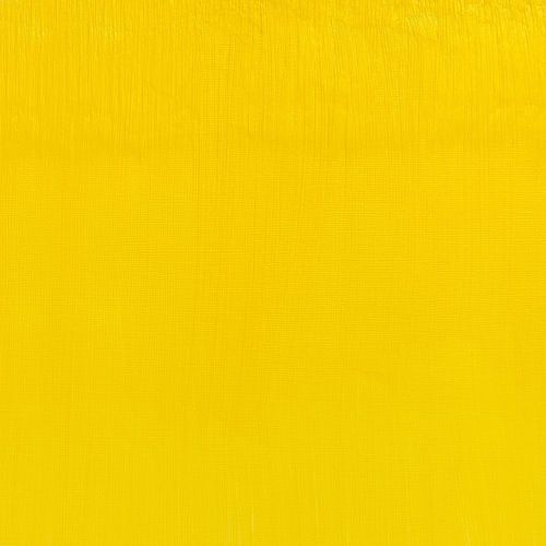 Winsor & Newton Artists' Oil Paint 37ml Tube Cadmium Free Lemon