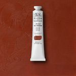 Winsor & Newton Artists' Oil Paint 200ml Tube Terra Rosa preview