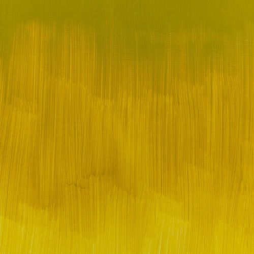 Winsor & Newton Winton Oils 37ml Tube Azo Yellow Green