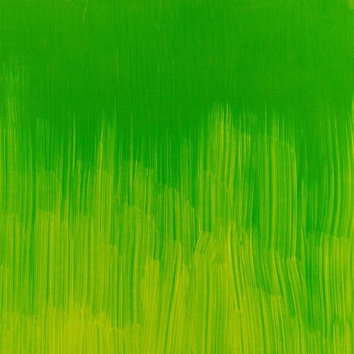 Winsor & Newton Winton Oils 37ml Tube Phthalo Yellow Green