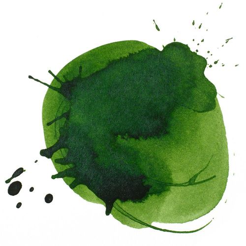 Liquitex Professional Acrylic Inks Hooker's Green Hue Permanent
