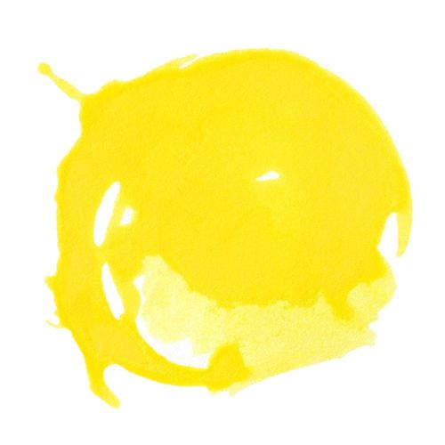 Liquitex Professional Acrylic Inks Bismuth Yellow