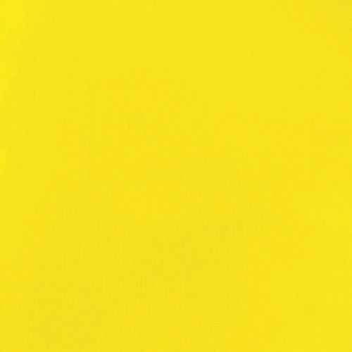 Liquitex Basics Fluid Acrylic Paints 118ml Primary Yellow