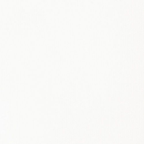 Liquitex Basics Fluid Acrylic Paints 250ml Titanium White