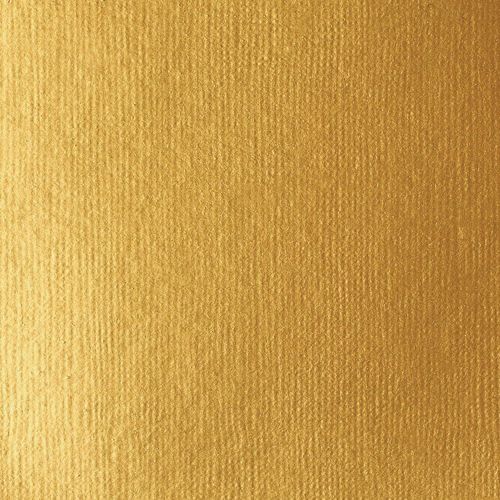 Liquitex Basics Fluid Acrylic Paints 250ml Gold