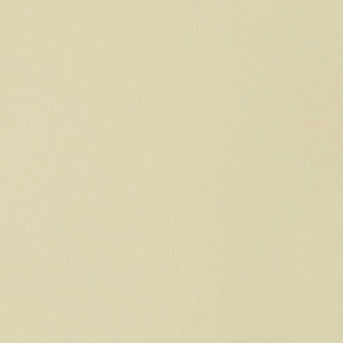 Liquitex Soft Body Acrylic 59ml Bottles Parchment