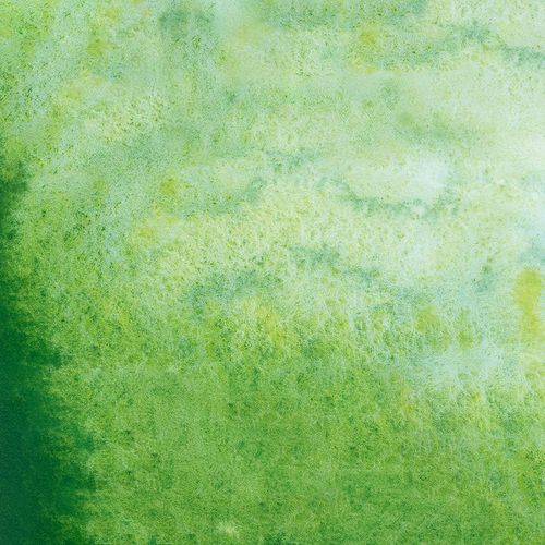 Schmincke Horadam Aquarell Super Granulating Watercolours Shire Green 5ml Tube