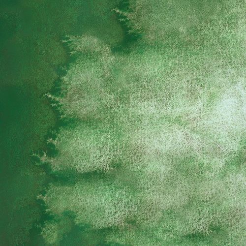 Schmincke Horadam Aquarell Super Granulating Watercolours Forest Green 5ml Tube