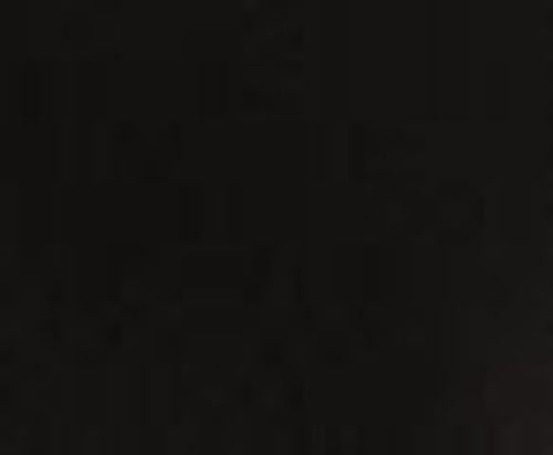 Canson Mi-Teintes Touch Pastel Paper Sheets Black (425)