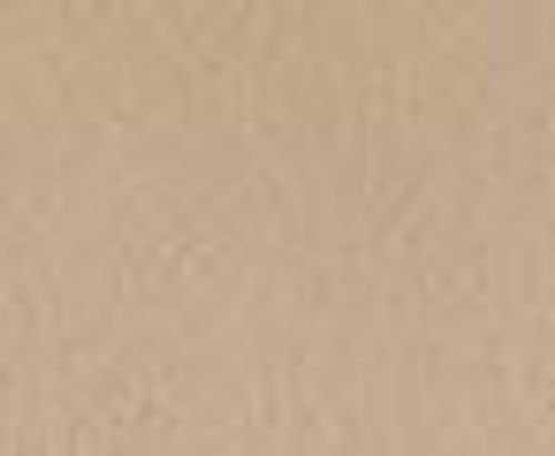 Canson Mi-Teintes Touch Pastel Paper Sheets Cream (407)