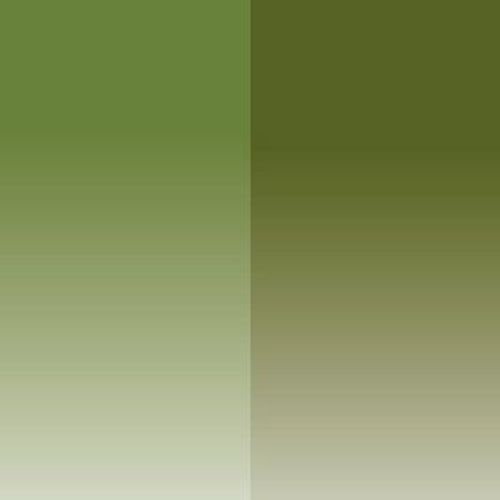 Daler Rowney Aquafine Watercolour Half Pan Twin Sets Sap Green/Oive Green