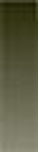 Daler Rowney Artists' Watercolours 5ml Tube Olive Green