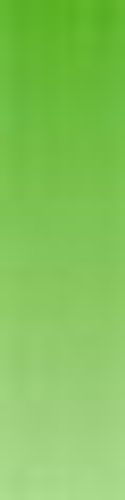 Daler Rowney Artists' Watercolours 5ml Tube Vivid Green