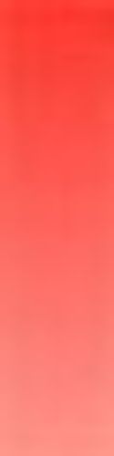 Daler Rowney Artists' Watercolours 5ml Tube Cadmium Red Pale (Hue)