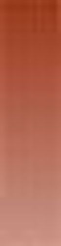 Daler Rowney Artists' Watercolours 15ml Tube Light Red