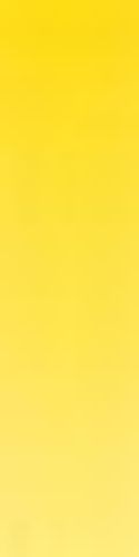 Daler Rowney Artists' Watercolours Half Pan Cadmium Yellow