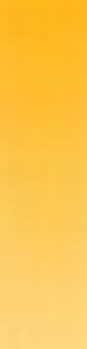 Daler Rowney Artists' Watercolours 15ml Tube Cadmium Yellow Deep