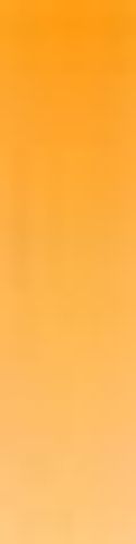 Daler Rowney Artists' Watercolours 15ml Tube Gamboge (Hue)